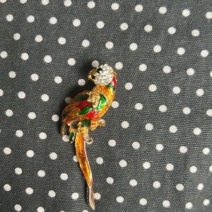 Colorful Parrot Perched